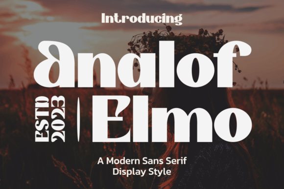 Analof Elmo Font: Modern Display Typography for Web Design