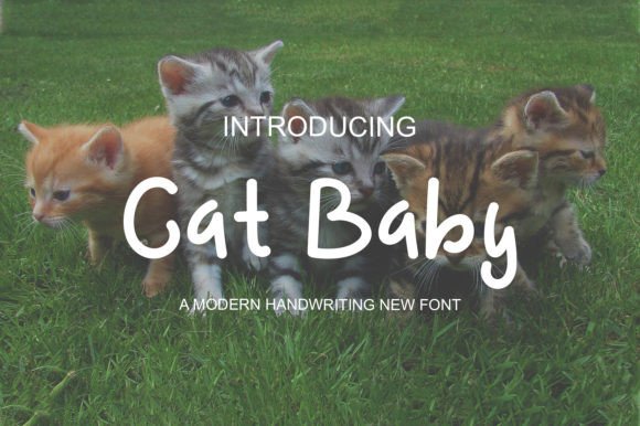 Cat Baby Font: Adding Joy to Small Business Branding