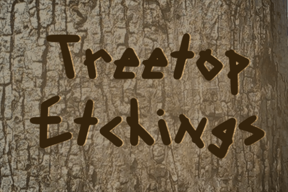Treetop Etchings Font: A Display Typeface for Campaigns